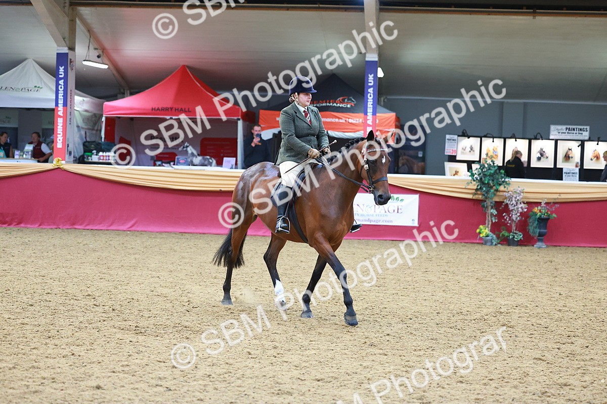 SBM_06105 - Class 12R - Ridden Pre-Vet