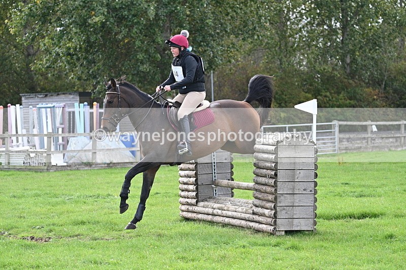 WJ7_8372 - 60cm Pairs