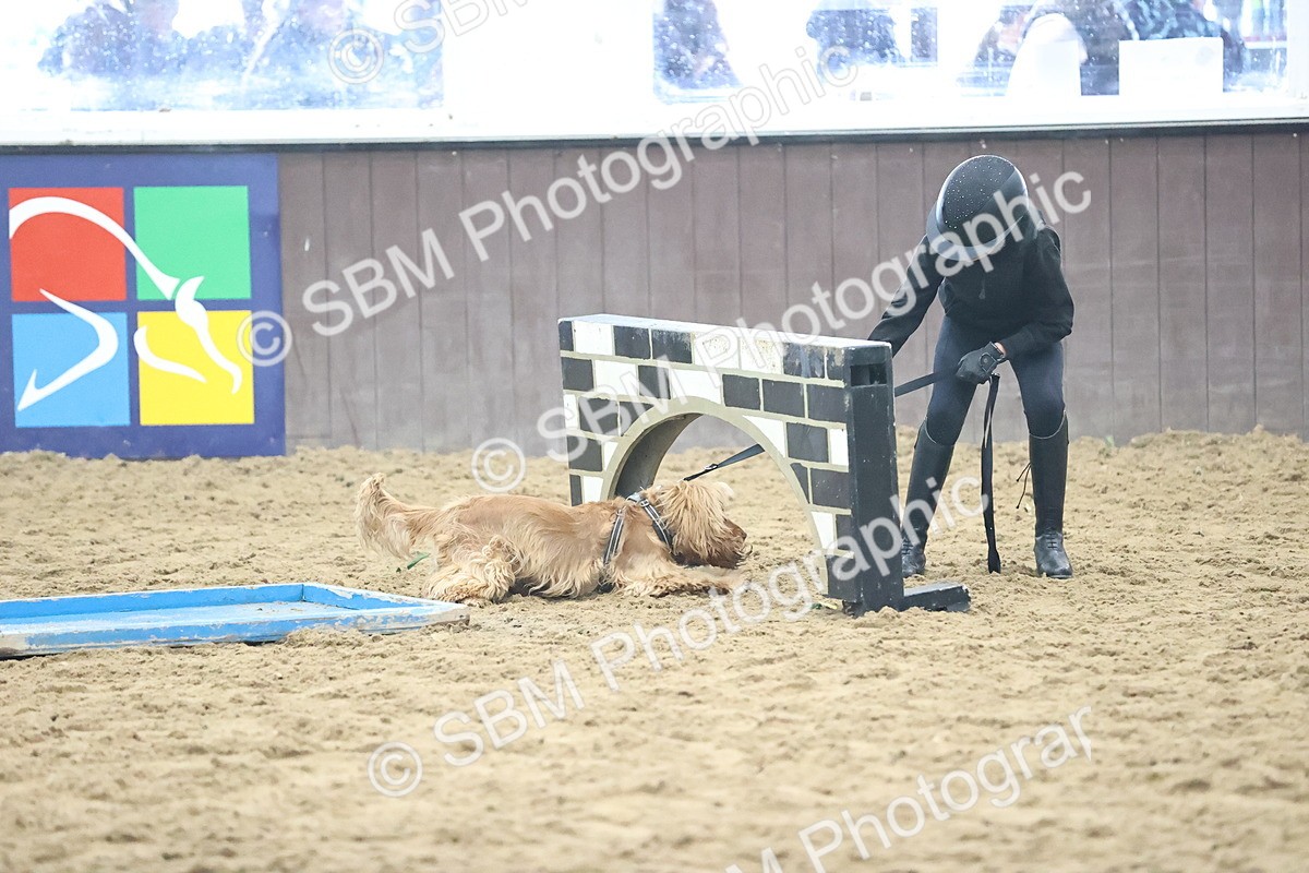SBM_001418 - Class 3 - Horse & Hound 60cm