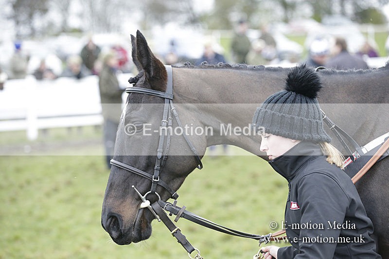 PtP 150320 0546 - New Forest Point-to-Point Larkhill 15/03/20