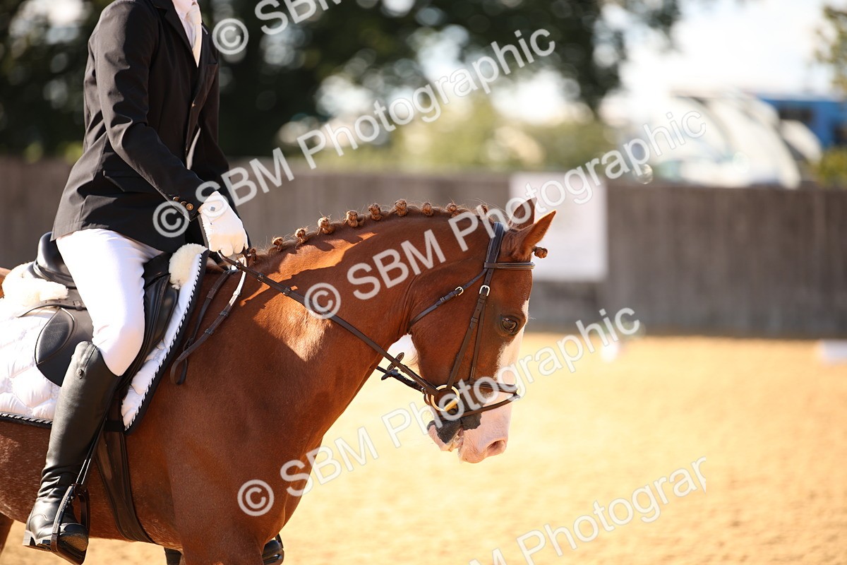 SBM_28267 - D11 - Small Tour Championship - Prelim 13