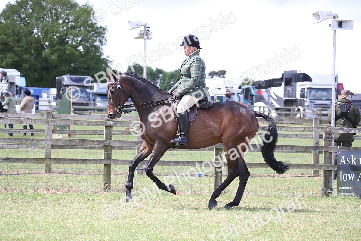 SBM_14195 - Class 113-114 - Retraining of Racehorses Ridden