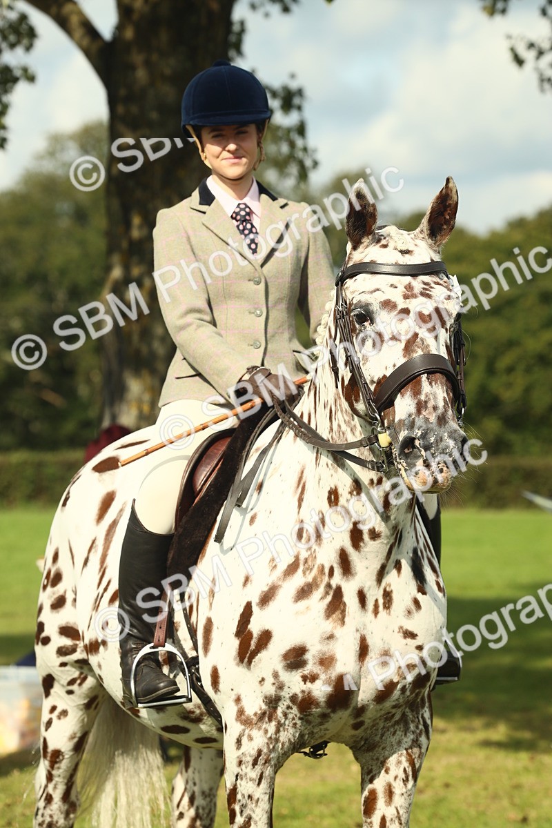 SBM_62517 - S62 - Foreign Breeds Ridden