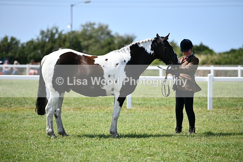 DSC_7916 - Coloured Horse In Hand Championship
