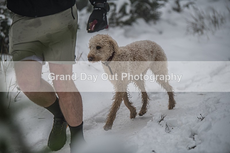 Glentress-1504 - High Terrain Events Glentress 42, 21 & 10K Trail Races Sunday 15th February 2026