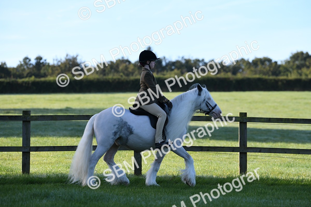 SBM_33908 - S16 - Condition & Turnout - Ridden