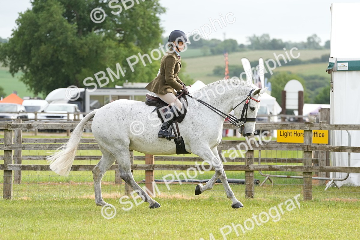 SBM_10579 - Class 97-98 - LIHS BSHA Rising Star Working Show Horse Hunter