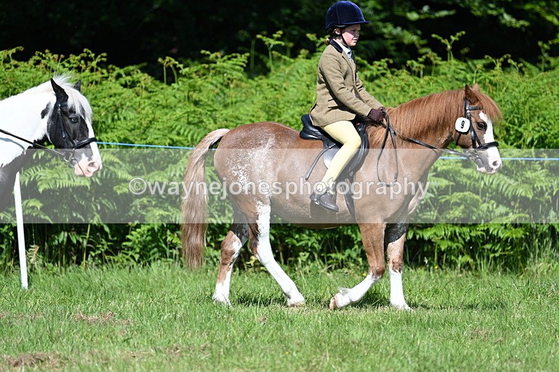 WJ7_0742 - Class 8 First Rally Pony