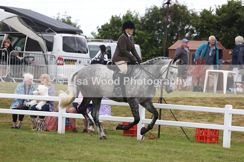 3E7A1439 - Class 9: Open Hunter