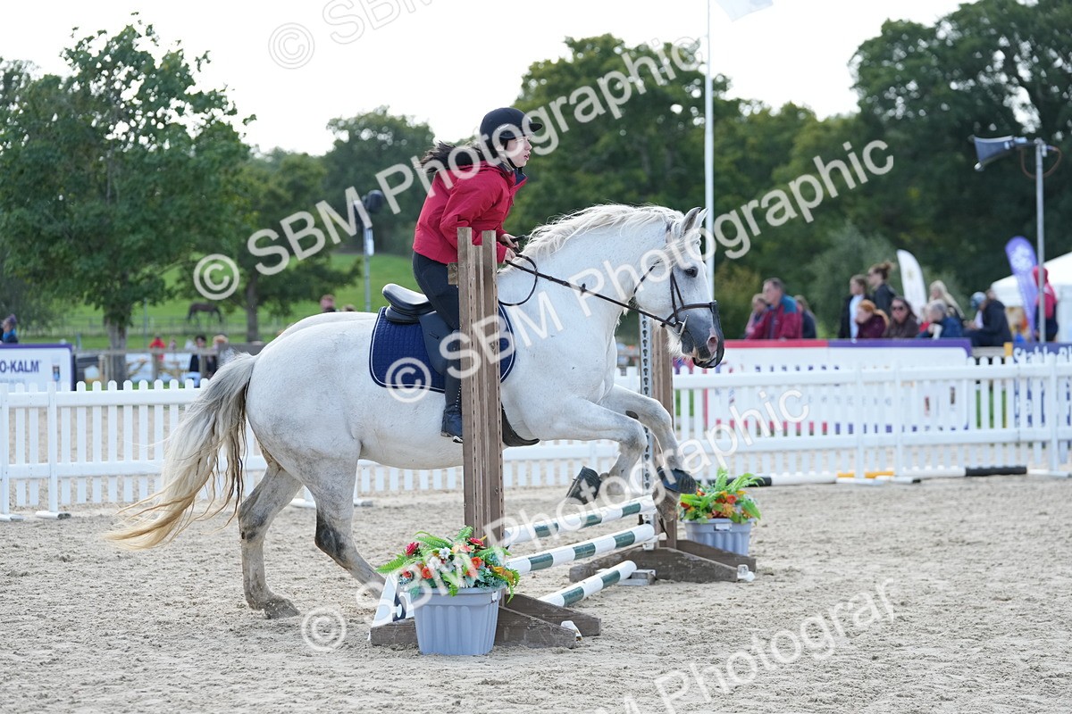 SBM_18100 - J58 - Clear Round 50cm