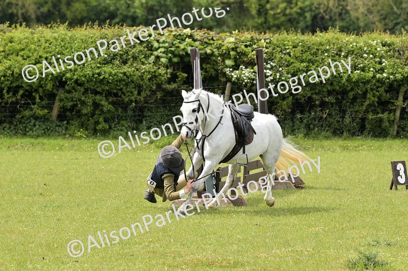 20260426-2417 - Class 21 - Working Hunter Ponies