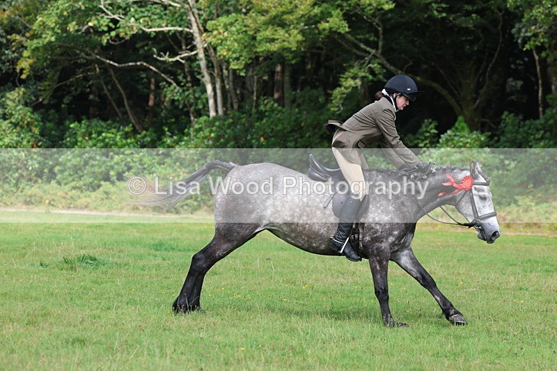 3E7A6128 - Working Hunter Championship