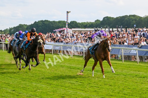 310525-Race 7-Mums Tipple-0331 - Race 7 5.00pm William Hill Best Odds Guaranteed Handicap