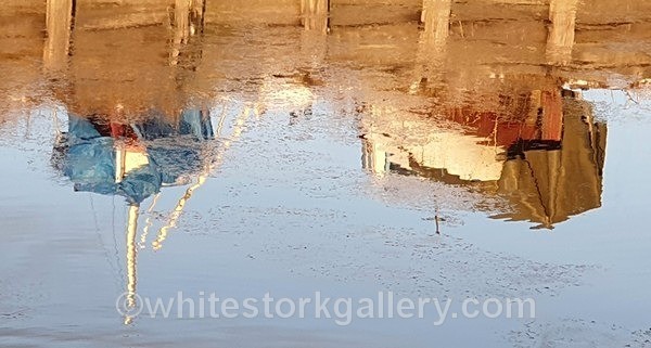  - NEW Winter Reflection