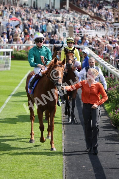 yr18082021r3-24 - Race 3 3.00pm Sky Bet Great Voltigeur Stakes