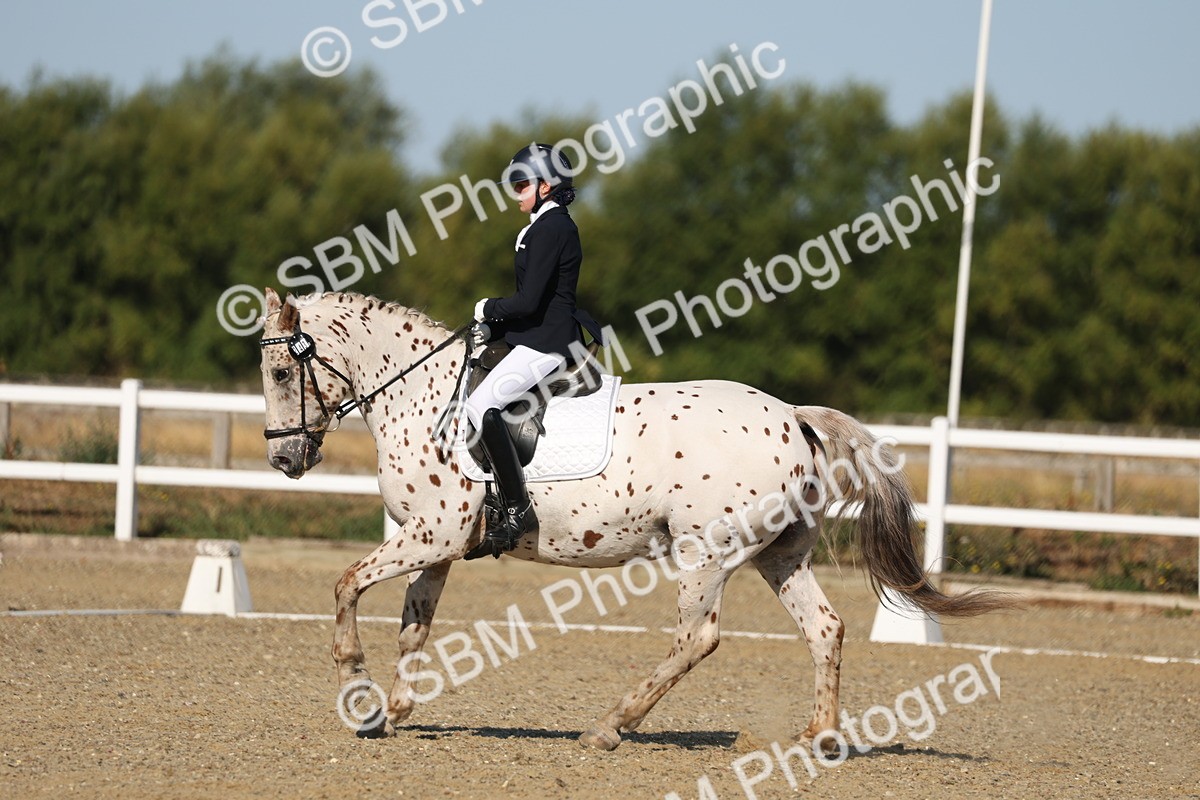 SBM_012682 - Class 1 - P5 Bronze 9.00.10.12