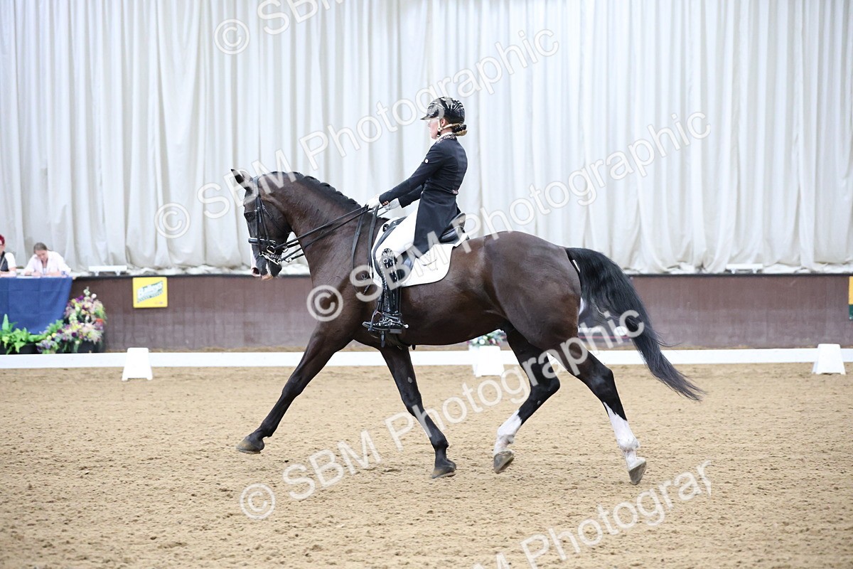 SBM_004692 - Class 9 - FEI Inter 1 Gold - 16.59-17.47