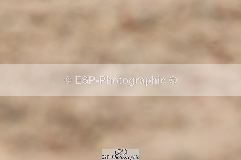 250622-153910-17320 - Cls 53 Medium 5, 14.50 to End