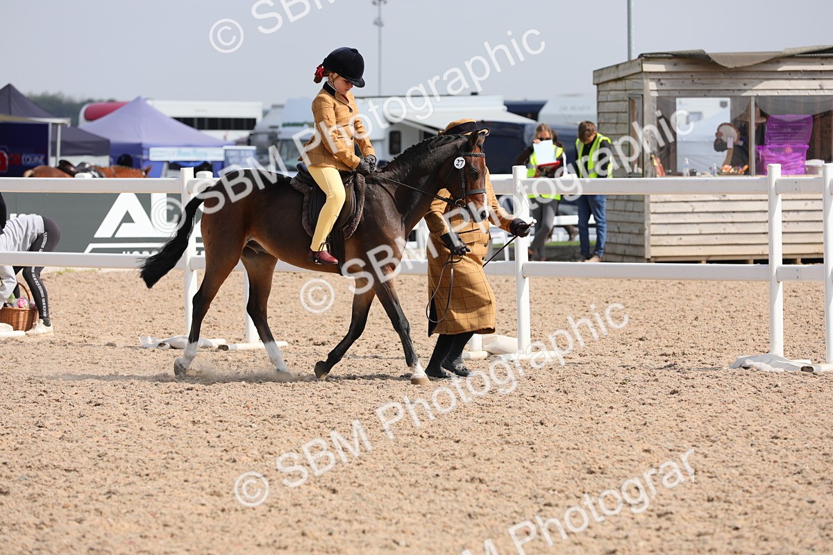 SBM_13980 - Class 309 Lead Rein Pony