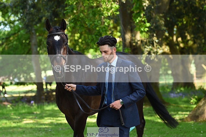 230524-161726-00817 - 258-DHI_KING_NELSON-Barnie_Brotherton-WEDTrotUp+DR