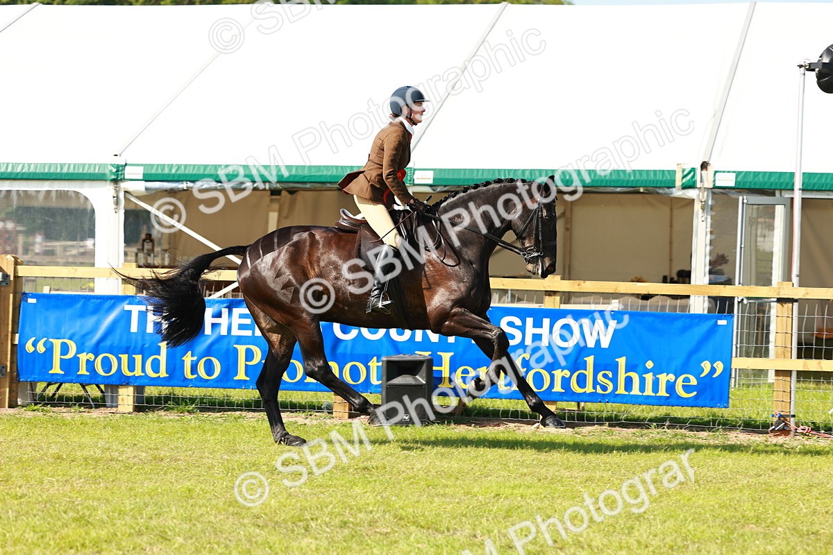 SBM_11966 - Class 66-69 - RIHS Ridden Hunters Inc Small Hunter