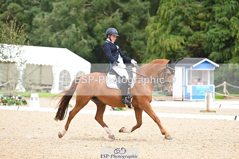 230813-133629-07605 - Cls 13 Medium Bronze 13.15 to End