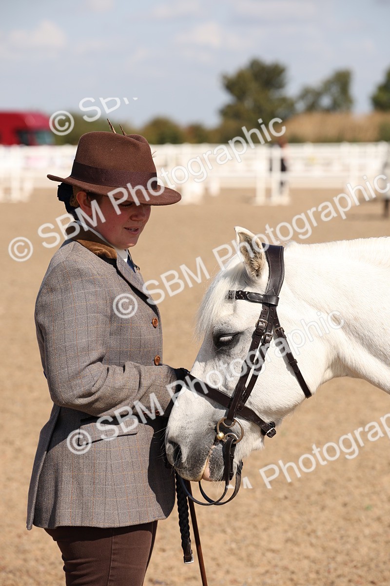 SBM_02811 - Class 16 IH M&M Wildcard