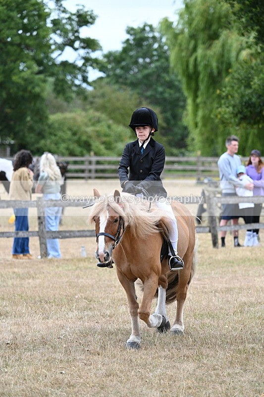 WJ7_7170 - Class 2 Best Rider