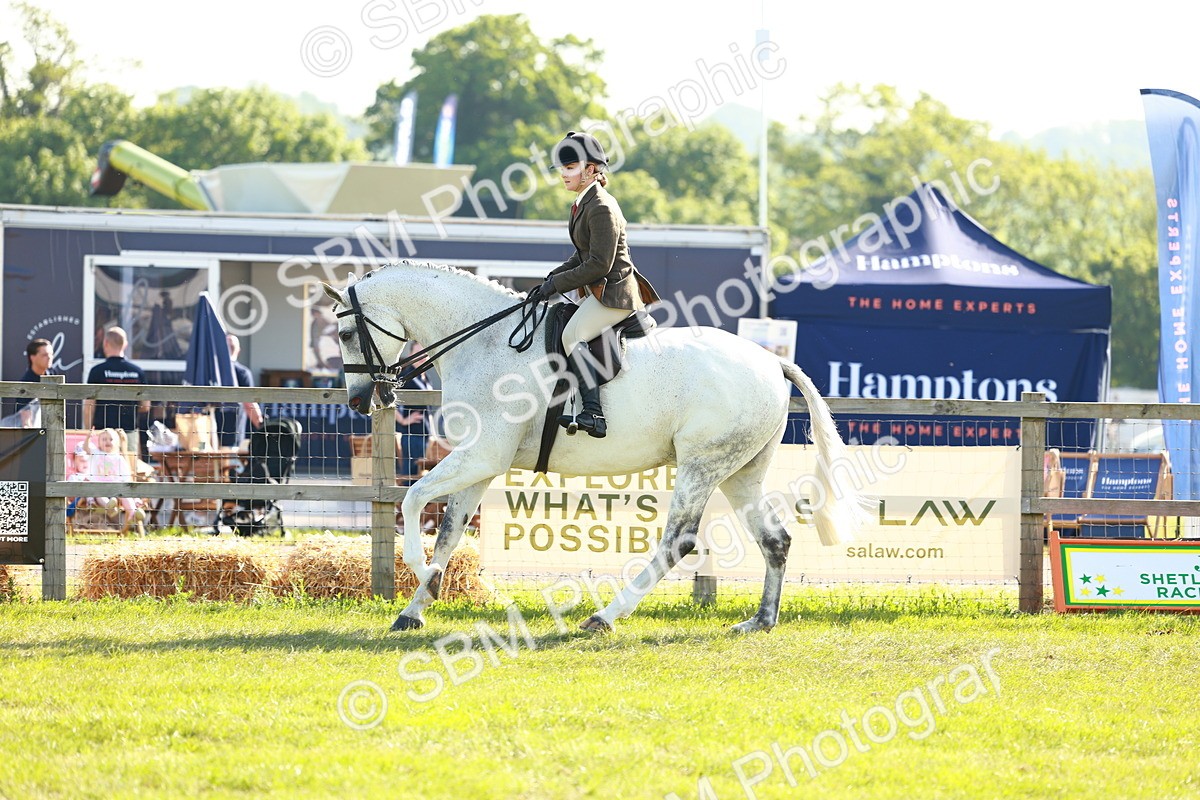 SBM_10917 - Class 66-69 - RIHS Ridden Hunters Inc Small Hunter