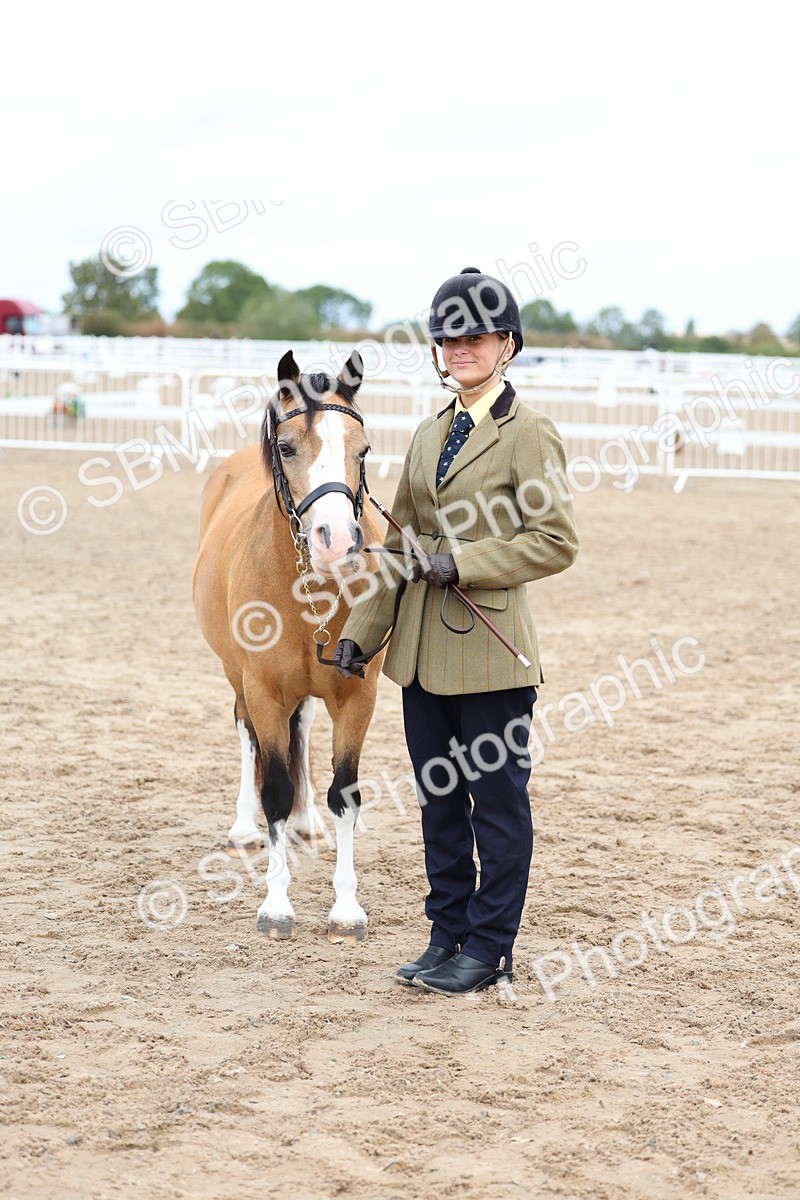 SBM_01475 - Class 17 - Prettiest Mare