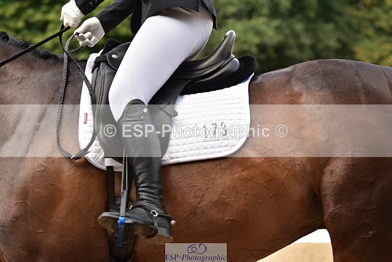 250719A-105204-03830 - 173-Louise.Hendy-Best.Trition