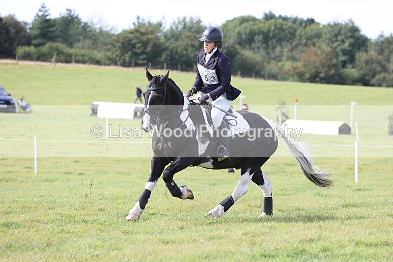 JPP_8605 - Class 2: Trekenning: 80cm Showjumping