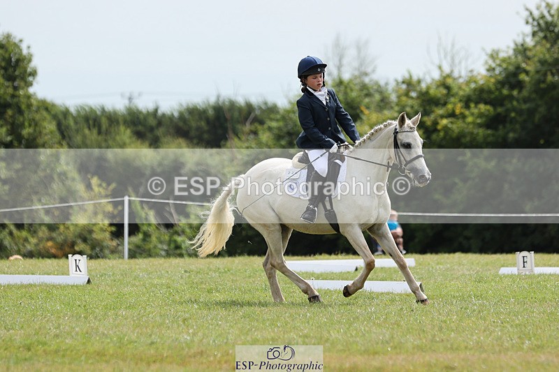 240824X-124734-27164 - D80 Section G and H 12.00 to 13.30