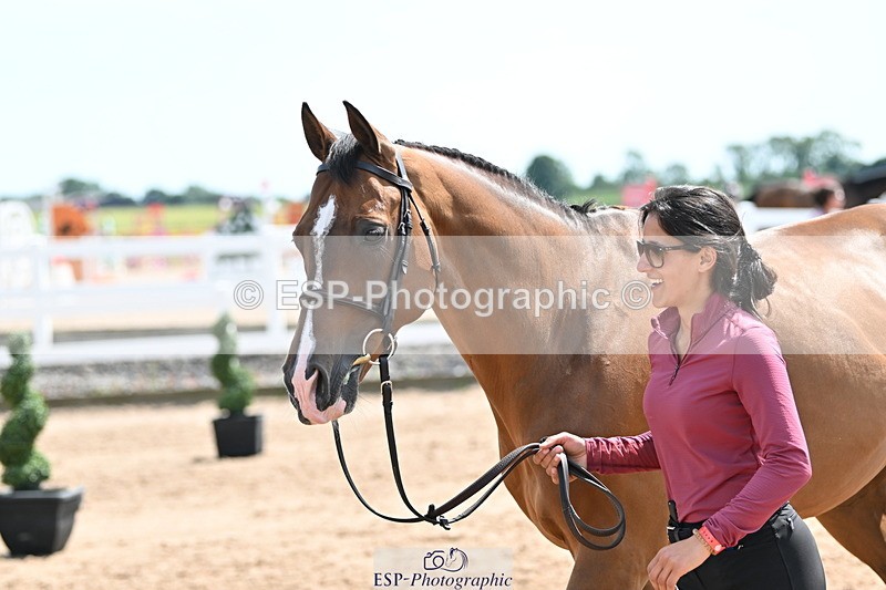240717A-151030-02613 - Trot Up 3pm to 4pm