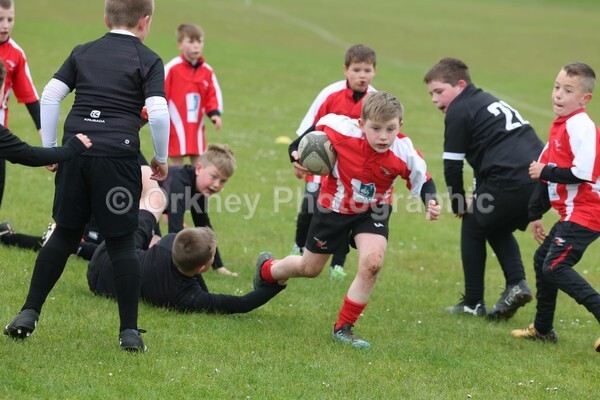 DAD22376 - Rookies/Mini Rugby on 7s Day