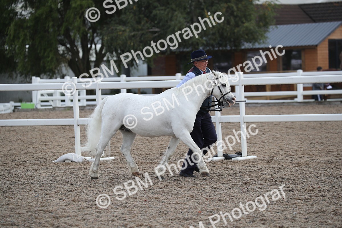 SBM_23112 - Class 605 - 2025 Area - IH Veteran