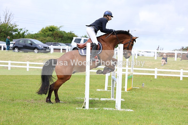 3E7A7222 - Class 13: Senior British Novice/90cm open