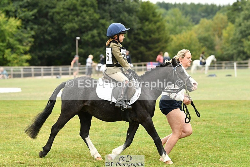 250820A-113216-05125 - 11am to 12