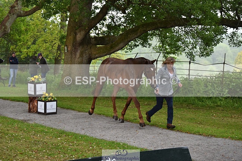 240522-151450-00199 - 307-CYMOON_''F''_Z-Kristina_Cook