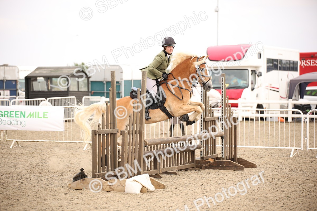 SBM_16171 - Class 409a - Working Veteran 80cm (15-19)