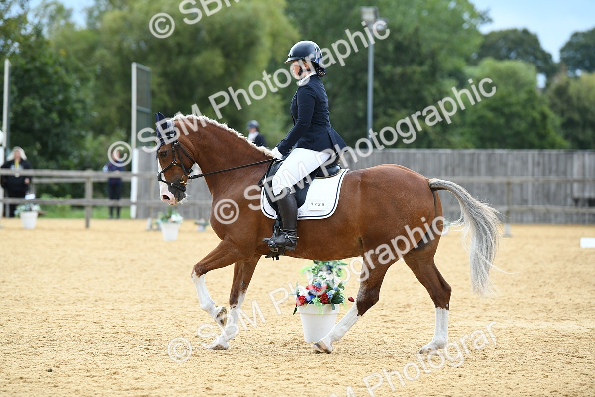 SBM_09925 - D15 Small Tour Championship Novice 24