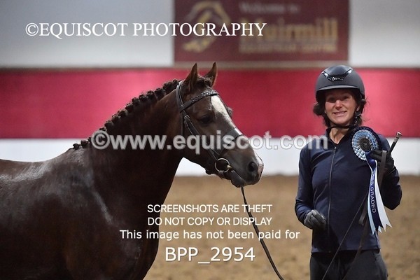 BPP_2954 - LOOSE JUMPING / SPSS