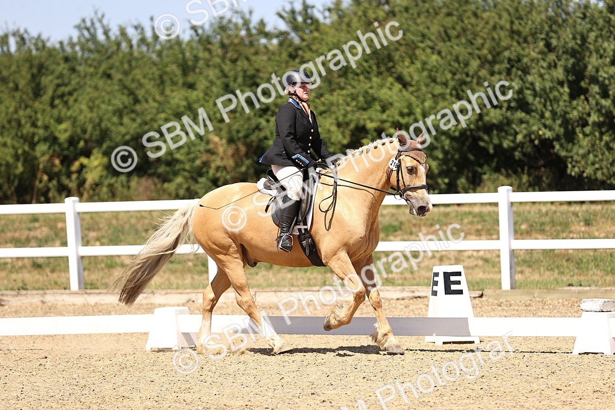 SBM_012218 - Novice 5 - 13.05-14.36