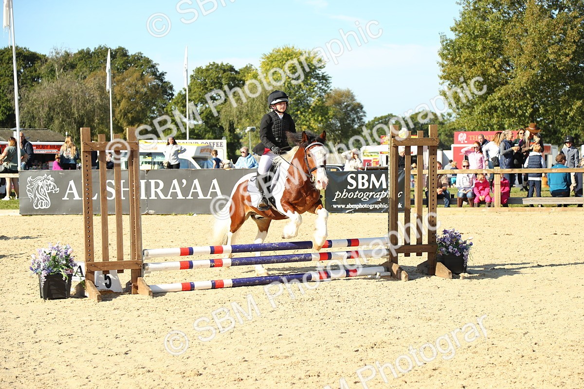SBM_35954 - J5 - Junior Pony 50cm Championship