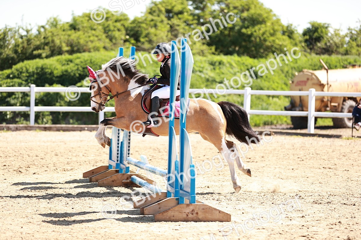 SBM_007004 - Class 2 - 50cm