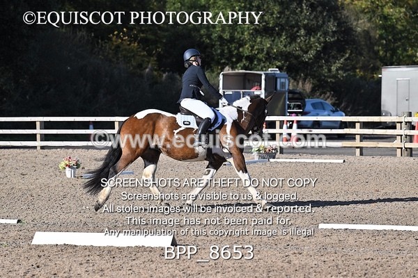 BPP_8653 - SHORT ARENA INTRO 3