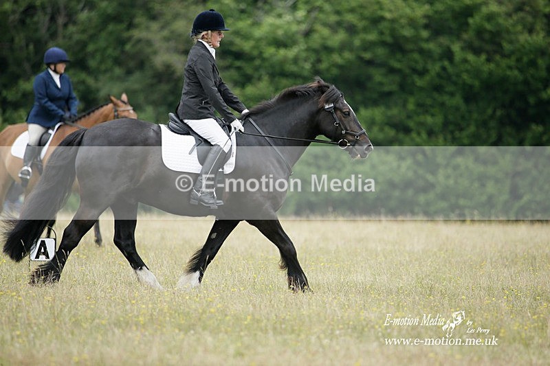 BVRC 030721 56 - Bourne Valley Riding Club Dressage 03/07/21