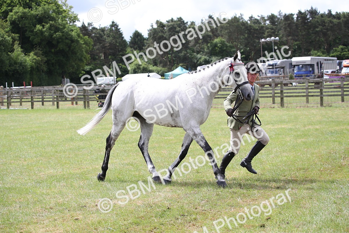 SBM_14236 - Class 113-114 - Retraining of Racehorses Ridden