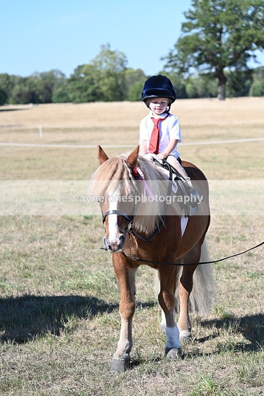 WJ7_2162 - Class 44 Child's Best Friend