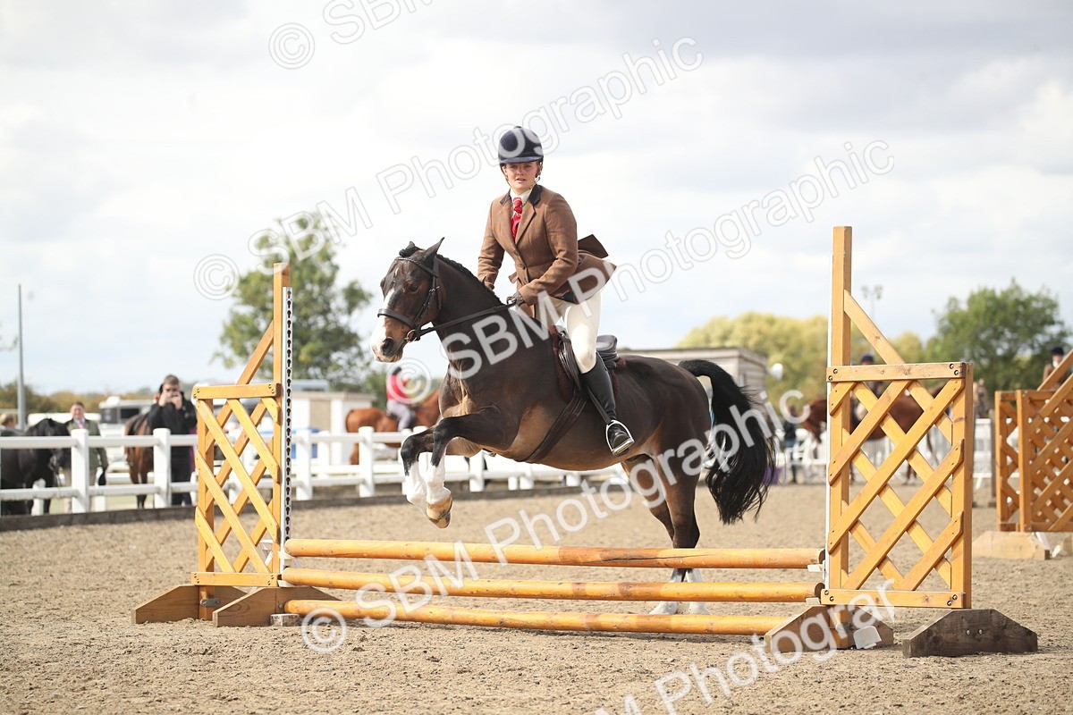 SBM_15267 - Class 506b - Working Veteran - 50cm (20+)